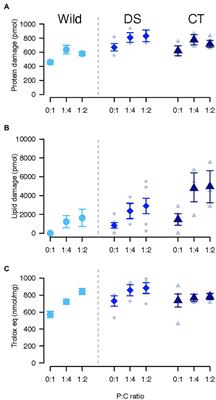 Oxidative Damage Is Influenced by Diet But Unaffected by Selection for Early Age of Oviposition in the Marula Fly, Ceratitis cosyra (Diptera: Tephritidae)